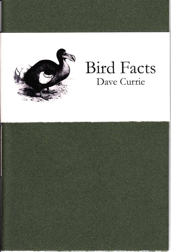 Currie - Bird Facts_0001 copy